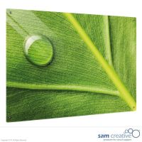 Whiteboard Glass Solid Jungle Leaf 50x50 cm
